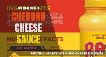 Cheddar Cheese Sauce: Carb Count Unveiled