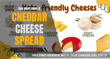 Cheddar Cheese Spread: Carb Count and Nutritional Insights