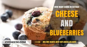 Cottage Cheese and Blueberries: Unveiling Carb Content for Healthy Eating