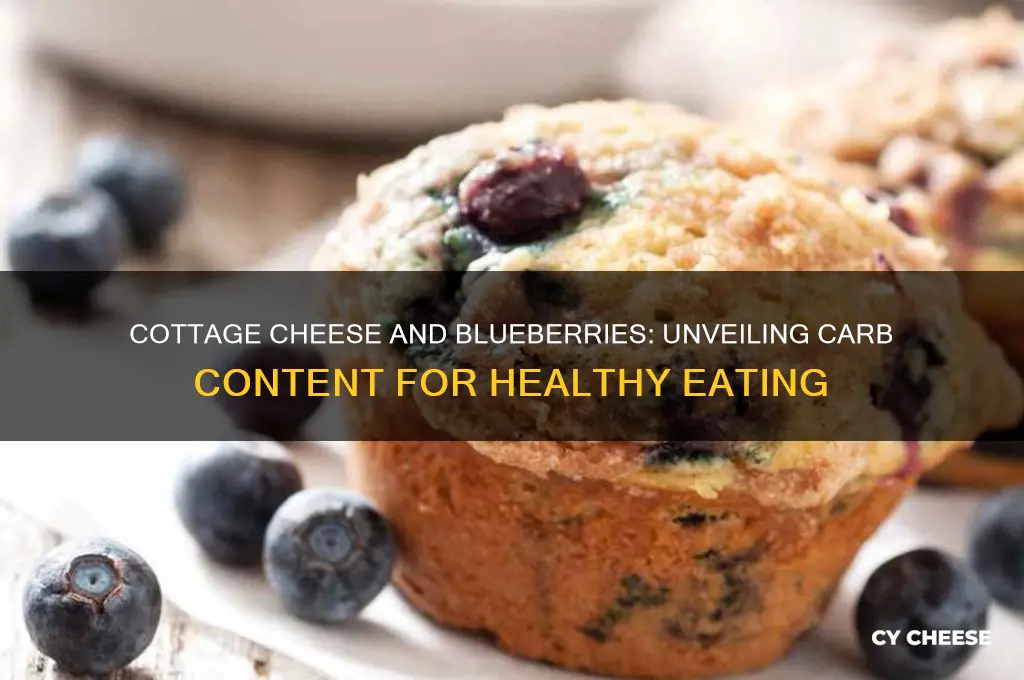 how many carbs in cottage cheese and blueberries