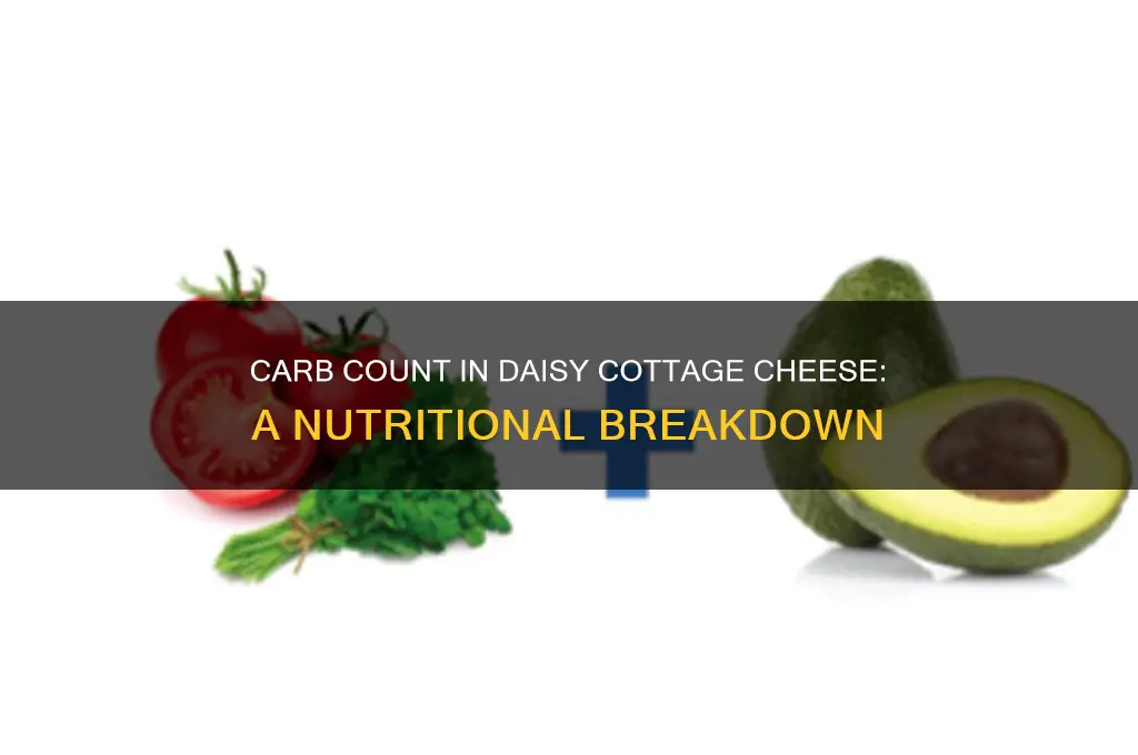 how many carbs in daisy cottage cheese