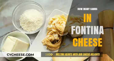 Cheese Lovers: Fontina's Carb Content Explored