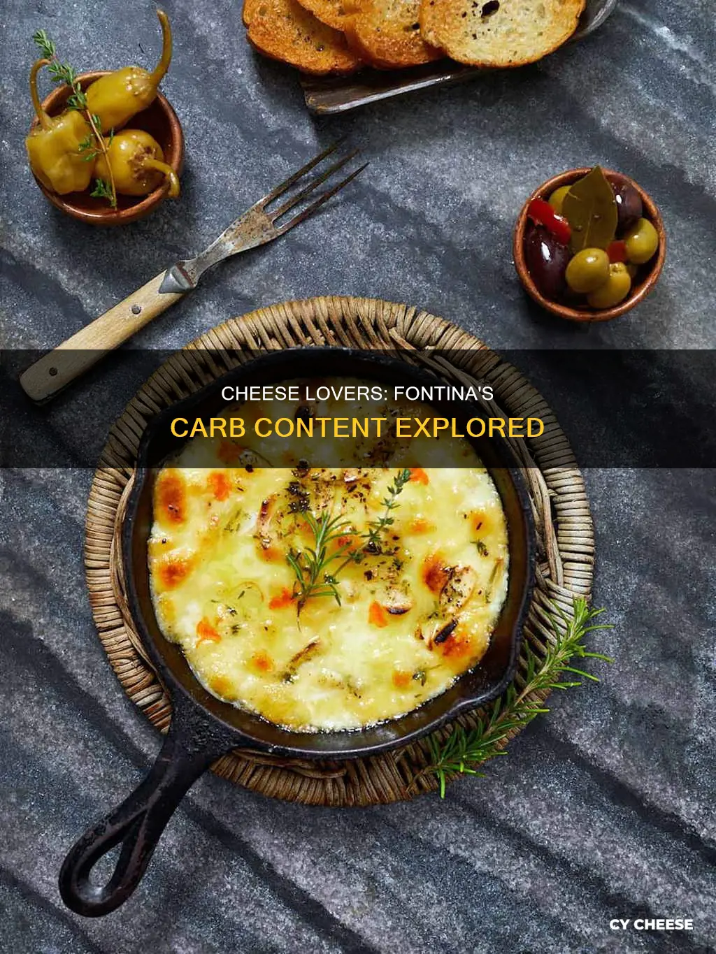 how many carbs in fontina cheese