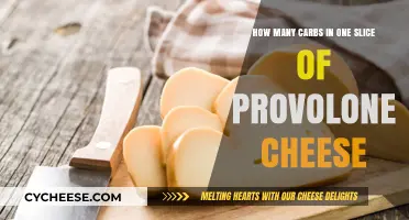 Cheese and Carbs: Provolone's Carb Count