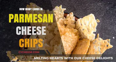 Parmesan Chips: Carb Counts and Nutrition Facts