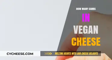 Vegan Cheese: Carb Content and Nutrition Facts
