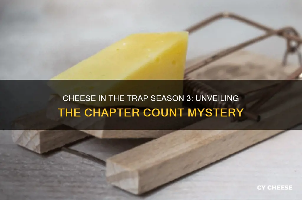how many chapters in cheese in the trap season 3
