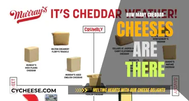 Exploring the Cheddar Spectrum: More Than You Might Think