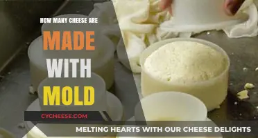 The Surprising World of Moldy Cheeses: A Delicious Journey