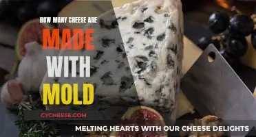 Moldy Magic: Exploring the Art of Cheesy Delights