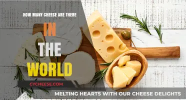Exploring the Global Cheese Varieties: A Comprehensive Count and Guide