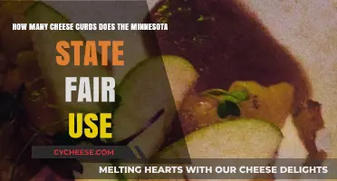 Cheese Curds: Minnesota State Fair's Signature Dish
