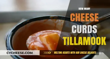Tillamook Cheese Curds: How Many Can You Enjoy in One Sitting?