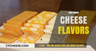 Exploring the Diverse World of Cheese Flavors: A Tasty Journey