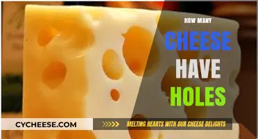 Exploring the Cheesy Truth: How Many Cheese Varieties Have Holes?