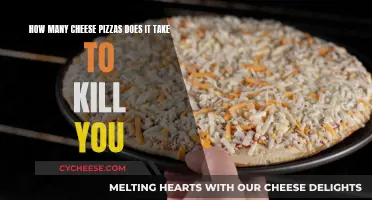 Cheese Pizza: A Tasty Treat or a Toxic Threat?