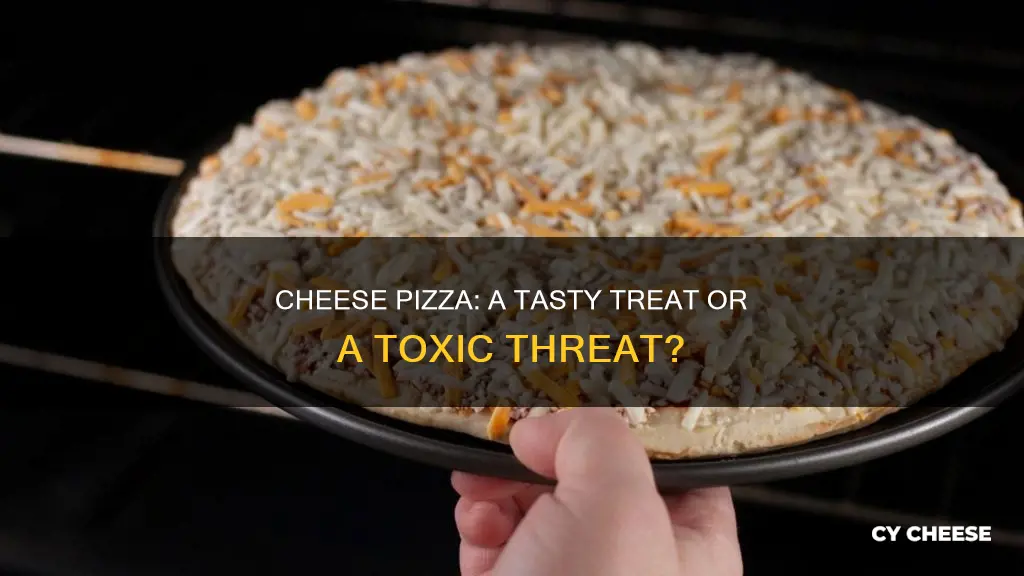 how many cheese pizzas does it take to kill you