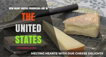 Exploring the Number of Cheese Producers Across the United States