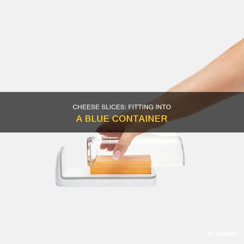 how many cheese slices are equal to 1 blue container