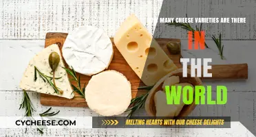 Exploring the Astonishing Diversity of Global Cheese Varieties