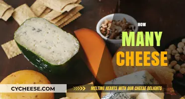 Exploring the Surprising Variety of Cheese Types Worldwide