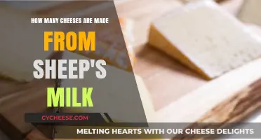 Sheep's Milk Cheeses: A Global Adventure in Flavor and Variety