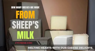 Sheep Milk Cheeses: A Diverse and Delicious Offering
