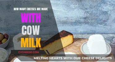 Explore the Varieties of Cow Milk Cheeses