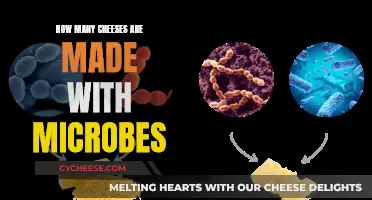 Microbes' Role in Making Delectable Cheeses