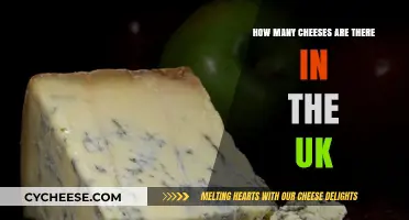 Exploring the Diverse World of UK Cheeses: A Comprehensive Guide