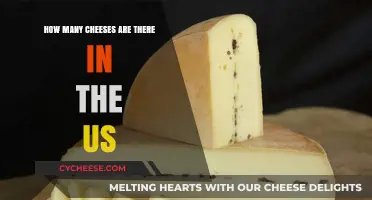 Exploring the Diverse World of American Cheeses: A Comprehensive Count