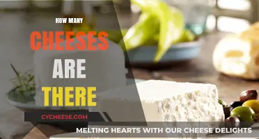 Exploring the Diverse World of Cheese Varieties and Types