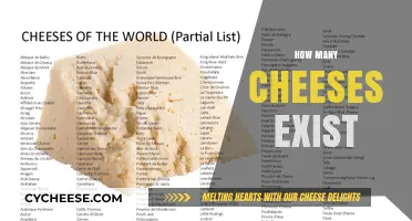 Exploring the Astonishing Variety of Cheeses Around the Globe
