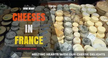 Exploring France's Cheese Diversity: A Count of Regional Delicacies