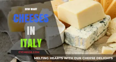 Exploring Italy's Cheese Diversity: A Guide to Countless Varieties