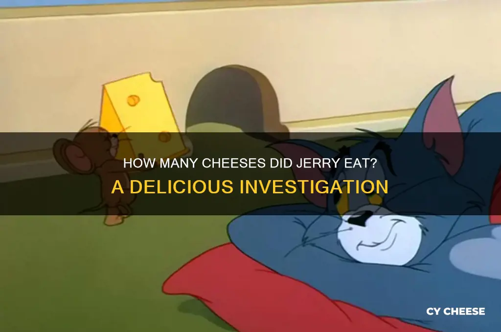 how many cheeses jerry