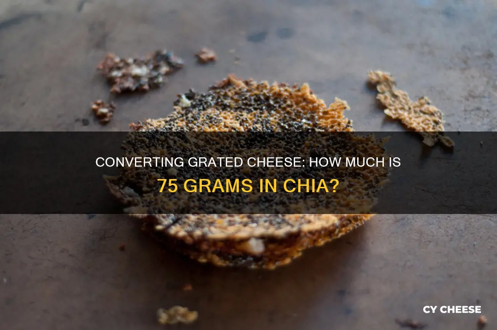 how many chia is 75 grams of grated cheese