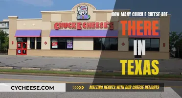 Chuck E. Cheese's Texas Expansion: A Comprehensive Overview