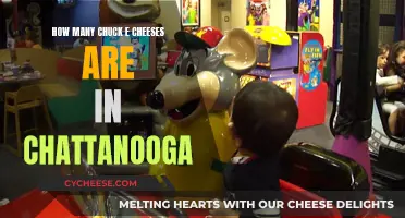 Exploring Chuck E. Cheese's Presence in Chattanooga