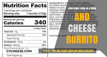 Bean and Cheese Burrito: Unveiling the Carb Count for Health-Conscious Eaters