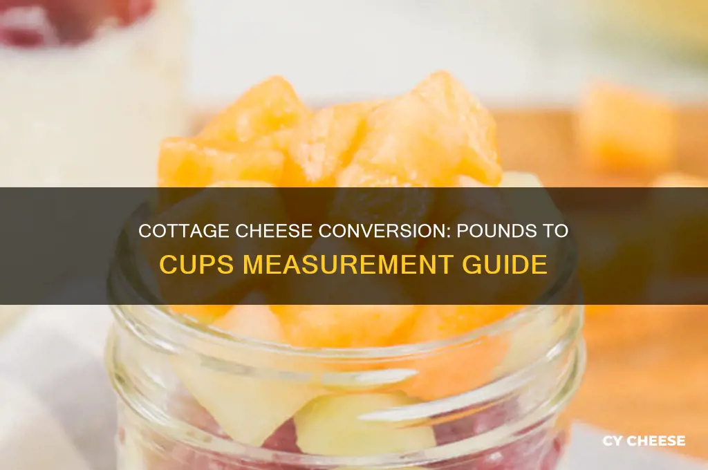 how many cup is in 1 pound of cottage cheese