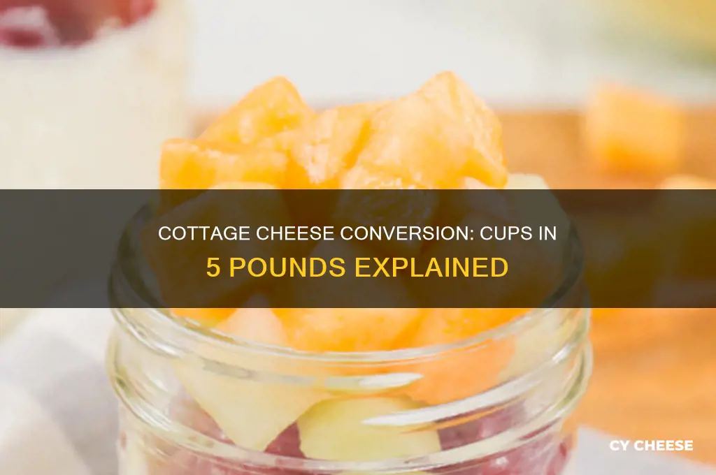 how many cups in 5 pounds of cottage cheese
