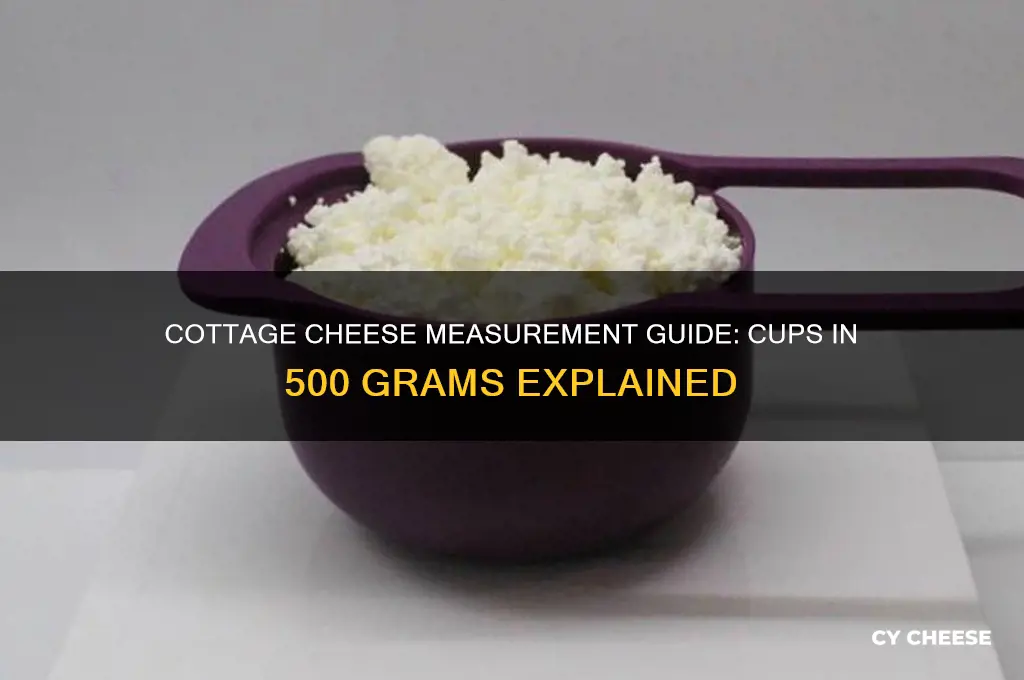 how many cups in 500 grams of cottage cheese
