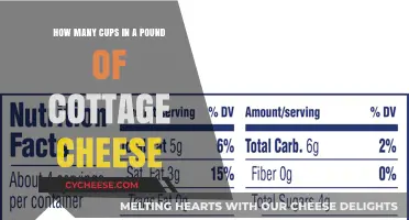 Cottage Cheese Measurements: Cups in a Pound Explained