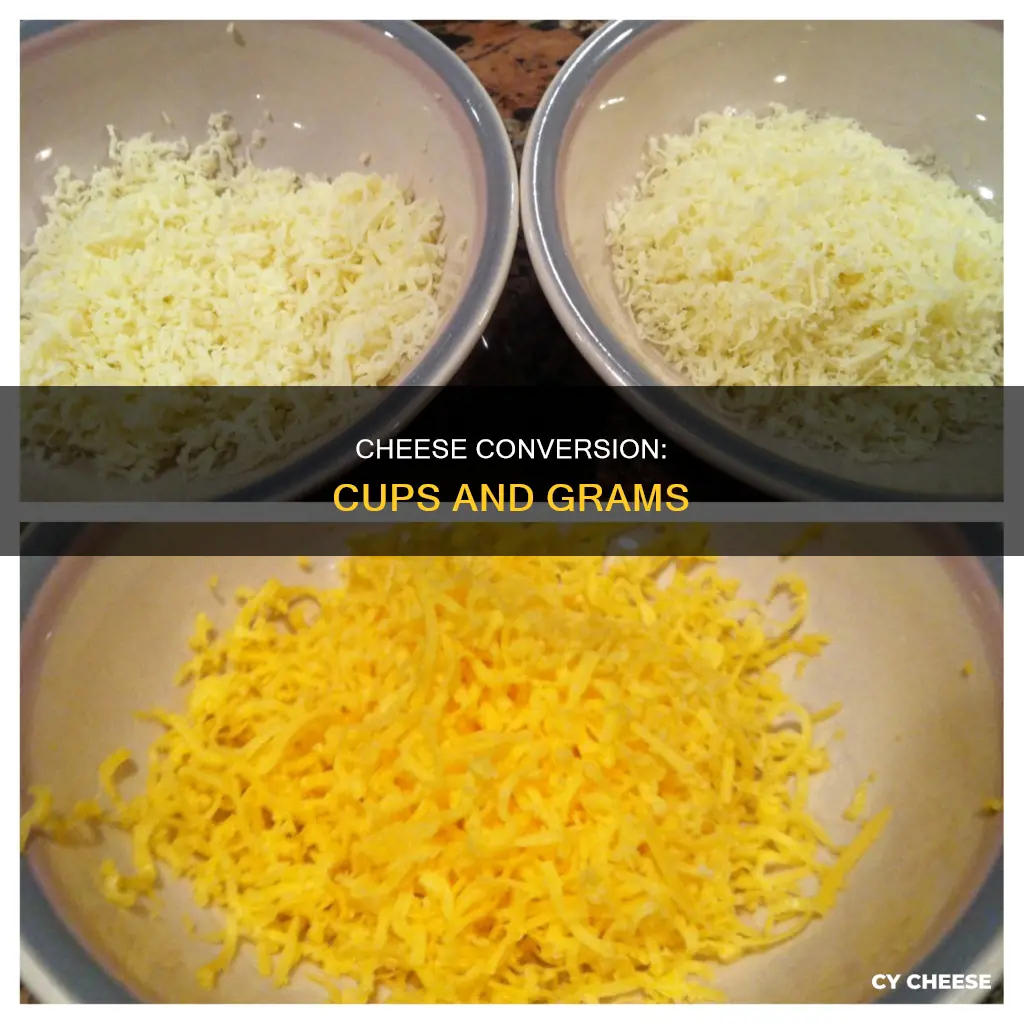 how many cups is 20g of cheese