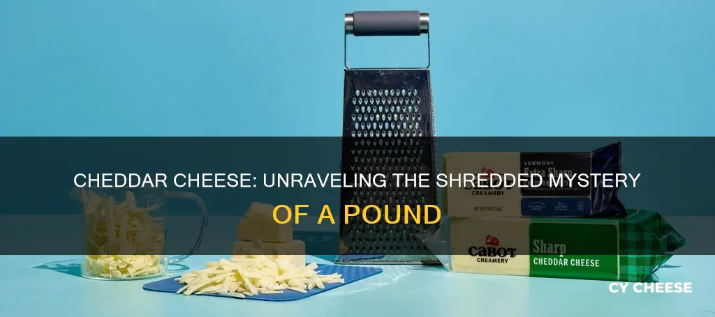 how many cups of cheddar cheese shredded in a pound