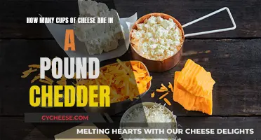 Cheese Count: How Many Cups in a Pound of Cheddar?