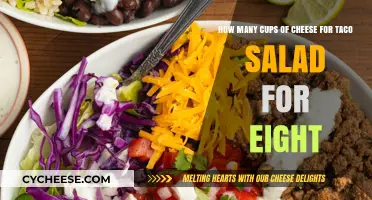 Cheese-Laden Taco Salad: Perfecting the Ratio