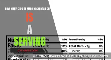 The Cheddar Conundrum: Unveiling the Perfect Cheese Serving Size