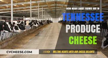 Tennessee's Dairy Farms: Cheese Production and Farm Count Revealed